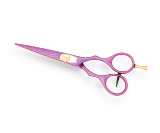 Professional Hair Cutting Scissors